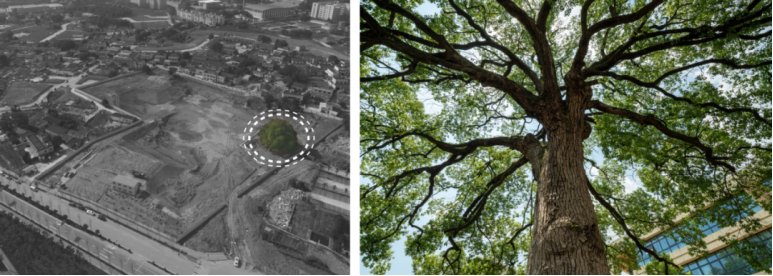 圖片關(guān)鍵詞 圖片關(guān)鍵詞