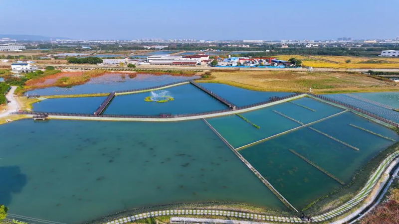 常州雅浦港生態(tài)緩沖區(qū)示范工程項目順利完成竣工驗收