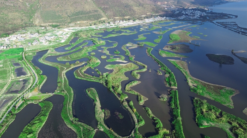 聚焦癥結(jié)因地制宜治理  順應(yīng)自然因勢利導修復 ——高原湖泊生態(tài)緩沖帶保護修復新示范
