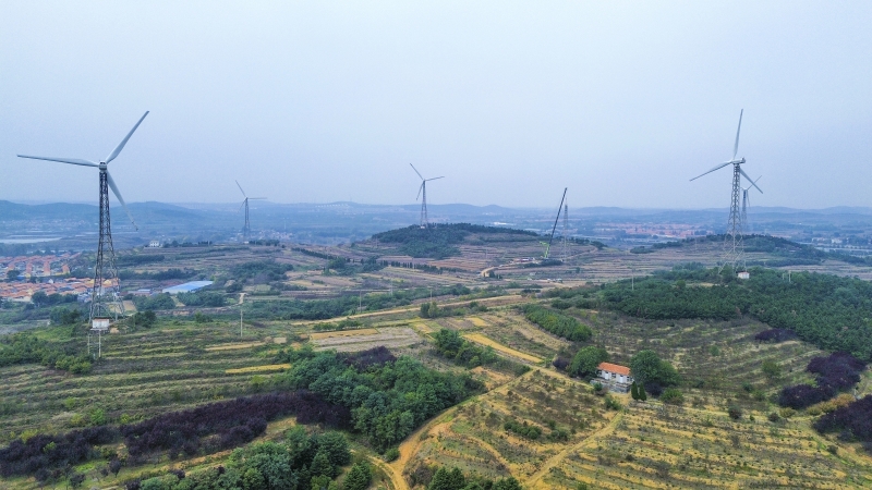 以大代小，青島大橋風(fēng)場改造的“煥新密碼”