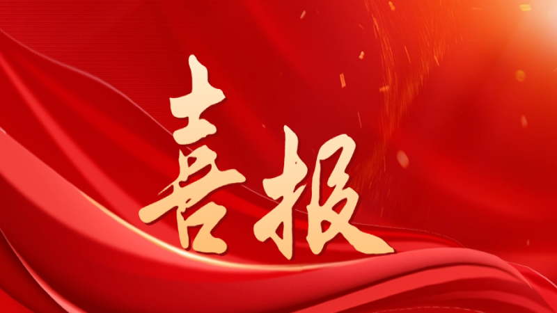 喜報！中機(jī)國際獲評中央企業(yè)“雙百行動”優(yōu)秀企業(yè)